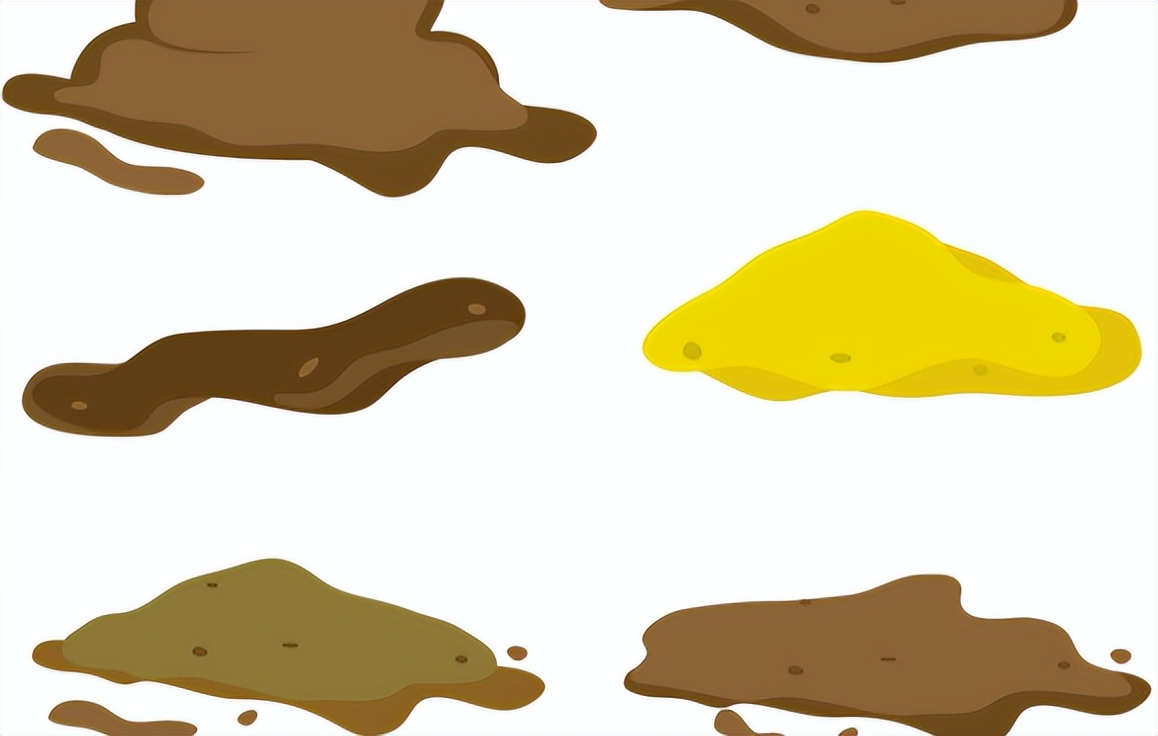 水西瓜_西瓜如何帮助肠道蠕动_西瓜清肠功效