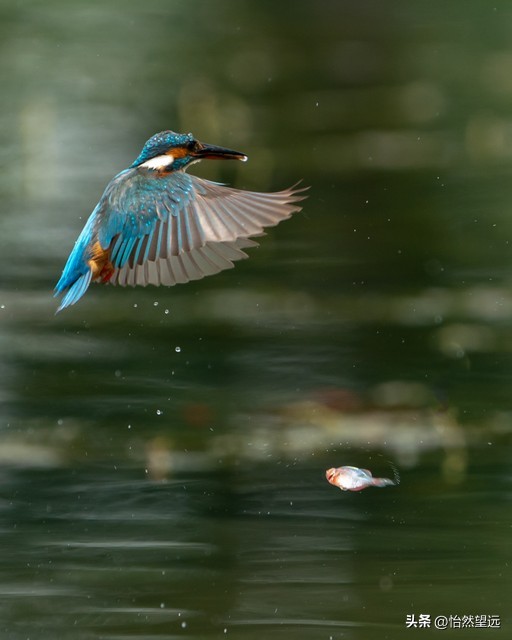 大数据负面信息有什么_大数据时代心理标签_算法捕捉情绪状态