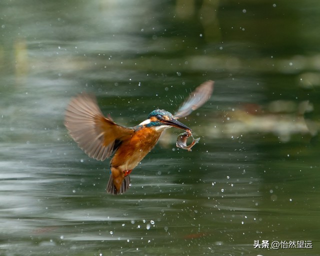 大数据时代心理标签_算法捕捉情绪状态_大数据负面信息有什么