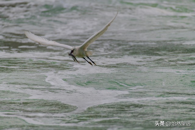 大数据时代心理标签_算法捕捉情绪状态_大数据负面信息有什么