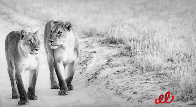 钉钉和企业微信流量巨大，如何深入满足开发类企业需求？