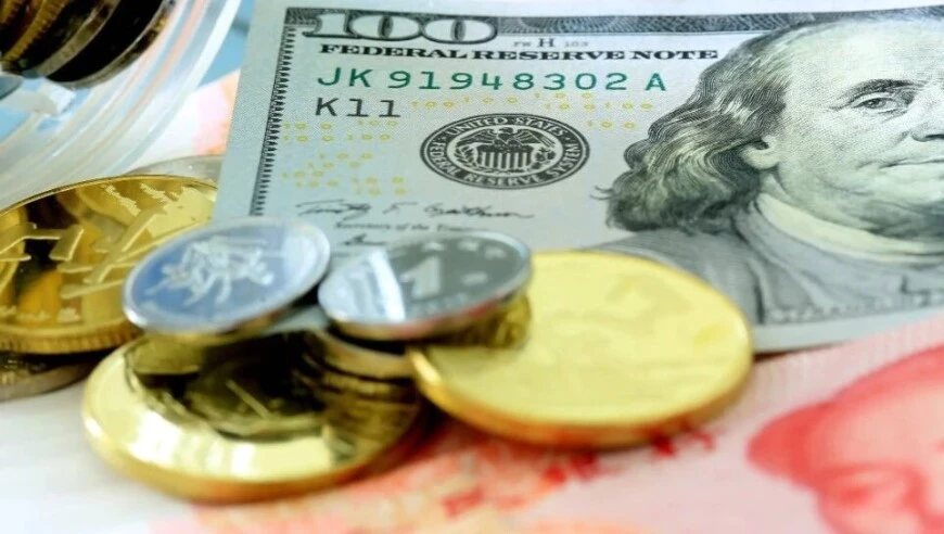 对外经济贸易大学中国金融学院教授张海云出席并做讨论发言