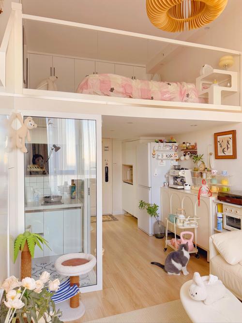 厨房上搭板做卧室_设备平台可以改成房间吗_23㎡蜗牛户型