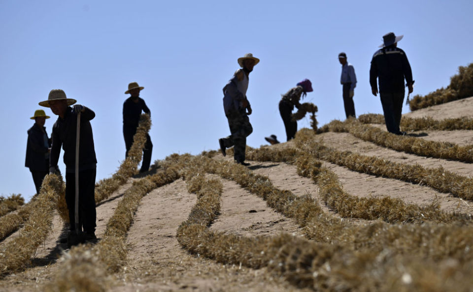 153公里"绿链"锁边腾格里沙漠：宁夏60年治沙终筑黄河生态屏障