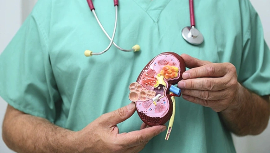 别忽视“血尿”：它可能是肾病的警报，尤其是糖尿病患者要当心！