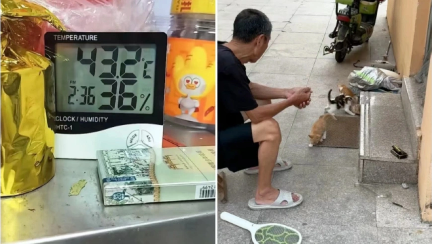 青岛大学宿管大爷去世，网友哀悼：高温下的坚守与关怀缺失