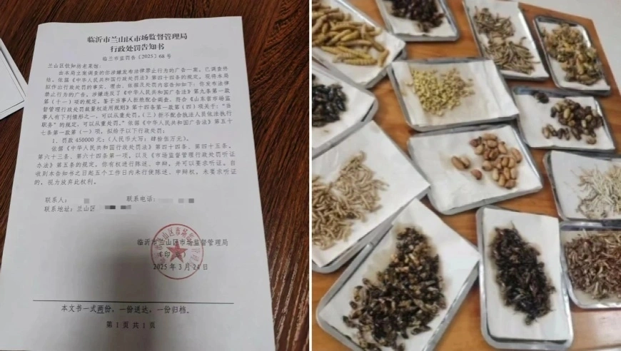 临沂提级调查“45万蛤蟆汤罚单”：处罚证据不足，五人被停职