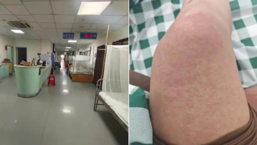 佛山顺德基孔肯雅热病例超3300例，疫情外溢至省外，防控措施全面升级