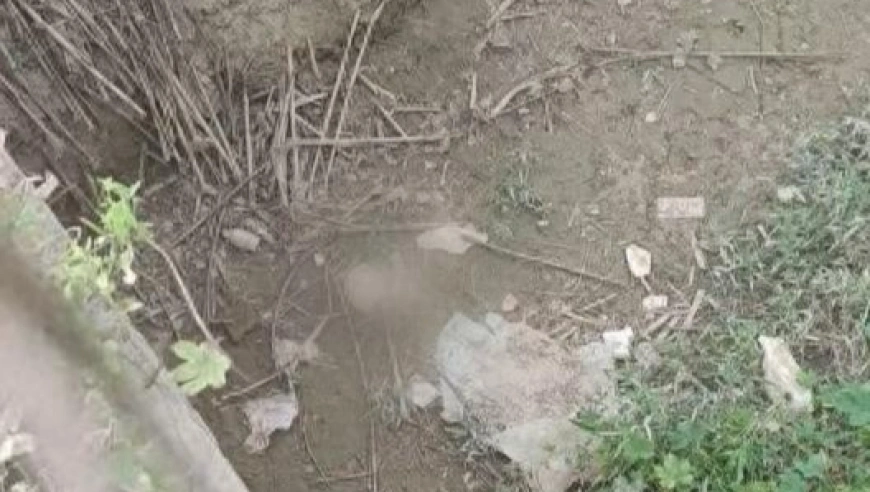 山东曹县发现头骨，警方介入调查，初步判断为上游坟墓冲下