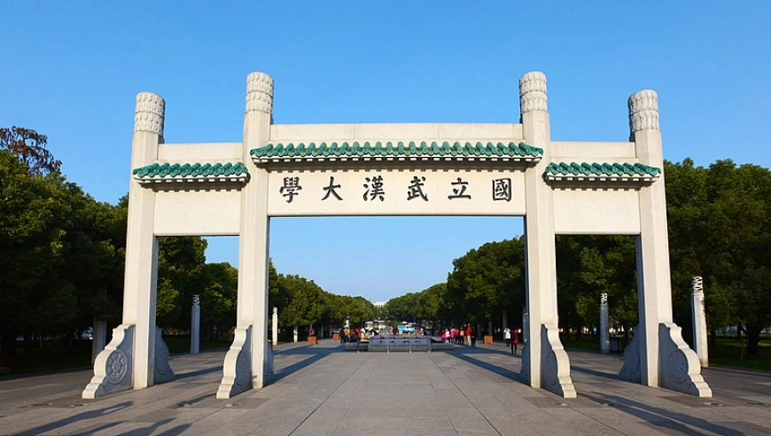 微博处置违规账号：打击网络乱象，维护社区秩序