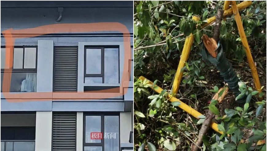 温州7岁男孩在补习班坠楼身亡，家长呼吁查明真相