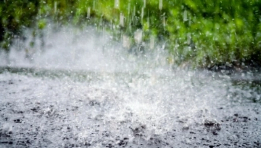 深圳市暴雨红色预警：龙岗坪地、坪山坑梓、龙田等区域升级，注意防御山洪与内涝