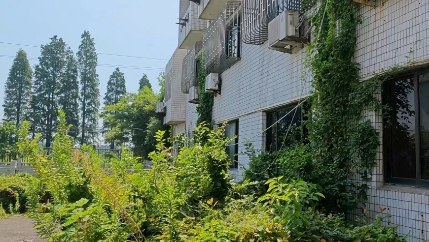 中国稀土创始人蒋泉龙被踢出董事会，称是精心预谋骗局