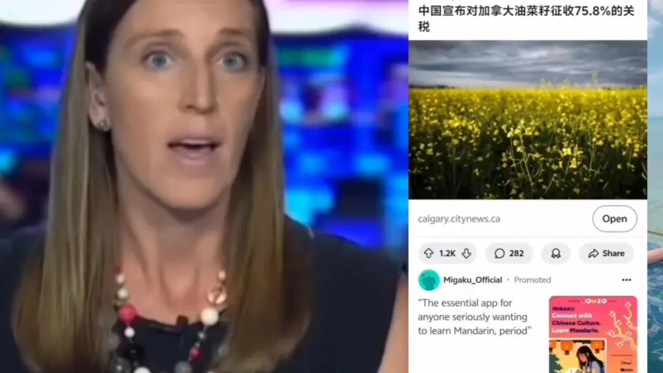 加拿大油菜籽产业因外交失误受挫，澳大利亚迎机遇