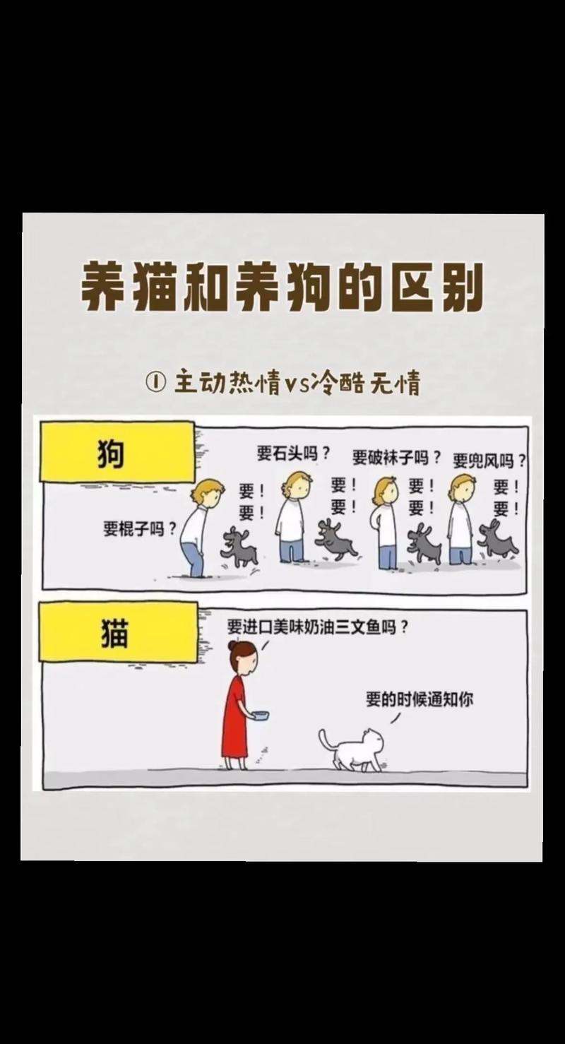 Python类和对象入门_背包问题 动态规划 python_面向对象编程实例化讲解