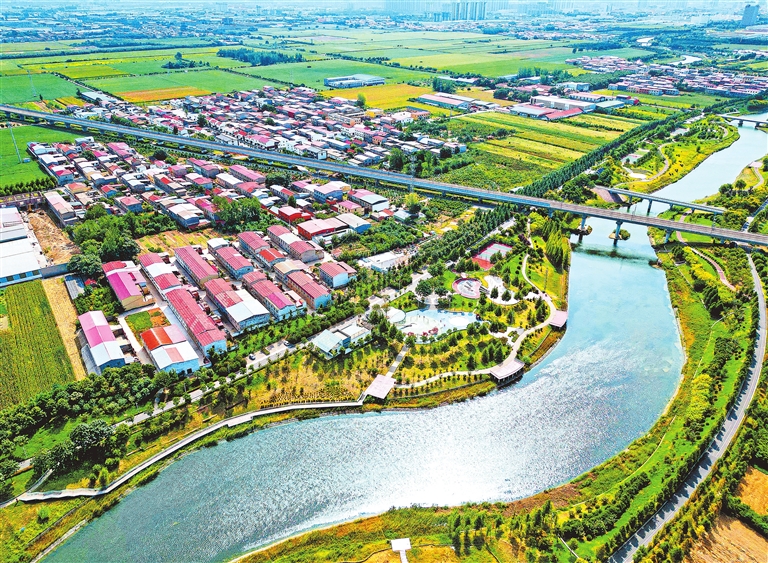 牢记总书记嘱托，河南探索农业农村现代化之路，小麻花拧出振兴路