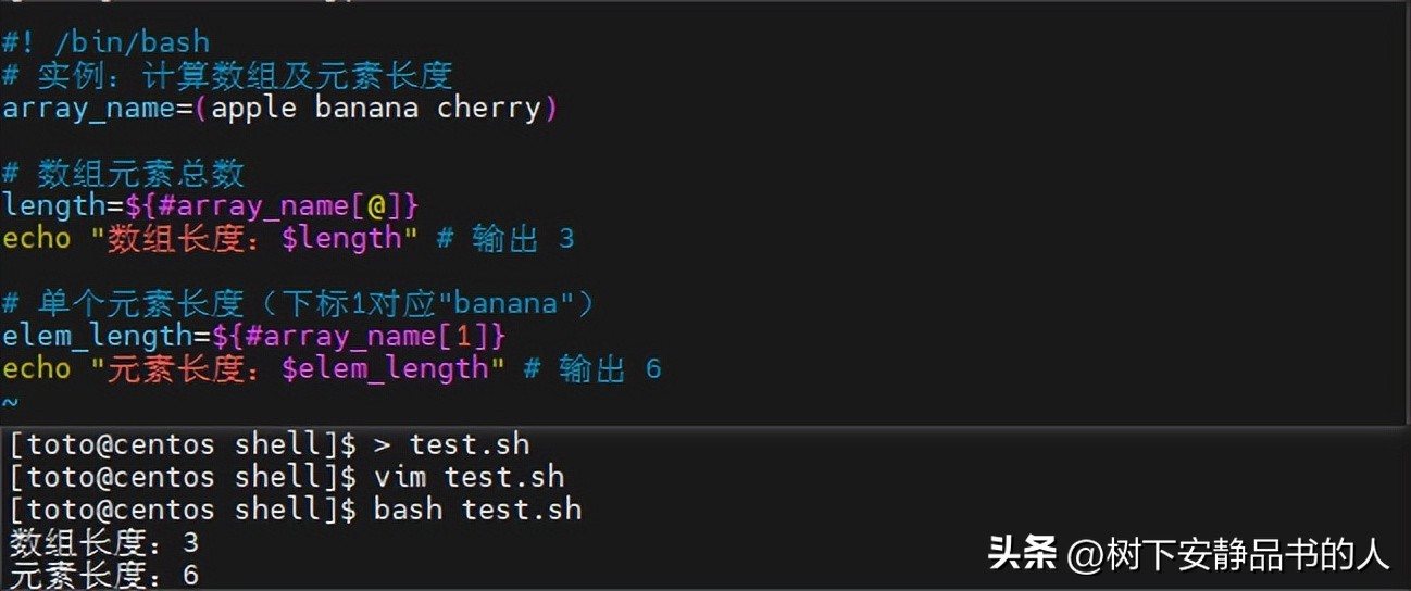 bash与zsh比较_java执行shell脚本_Shell编程入门教程