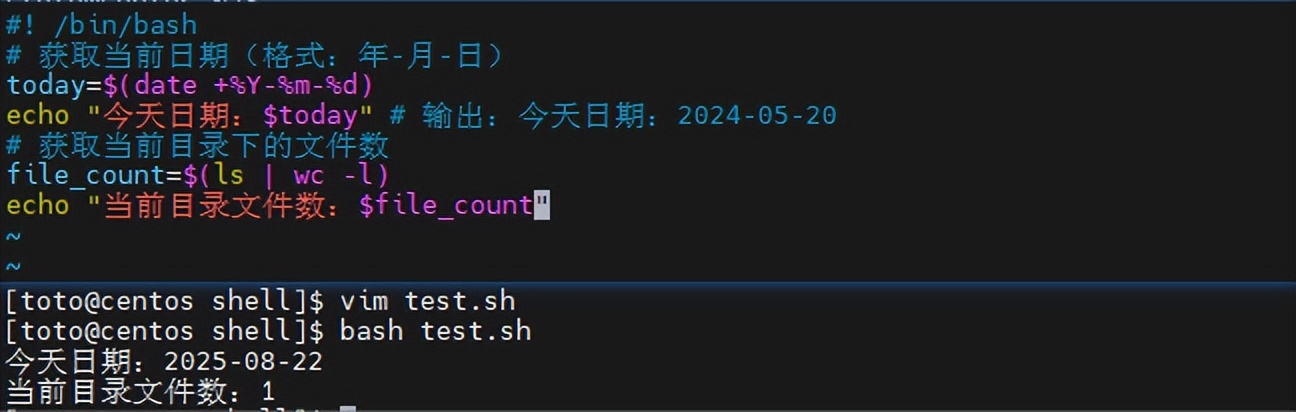 bash与zsh比较_java执行shell脚本_Shell编程入门教程