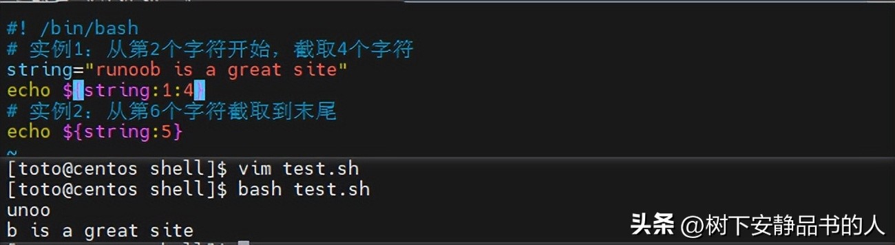 java执行shell脚本_Shell编程入门教程_bash与zsh比较