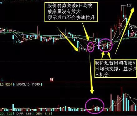 尾盘拉升判明日涨跌_股票筹码全是套牢盘_高位大单买入股价下跌