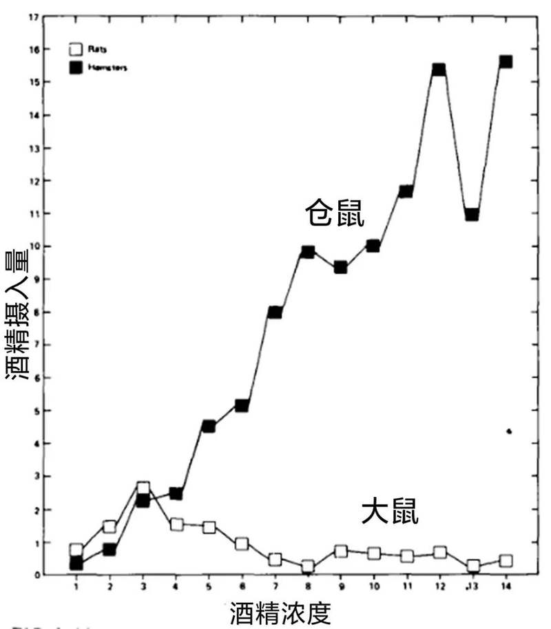 仓鼠不用喝水会死吗_仓鼠酒量研究_仓鼠对酒精的耐受度