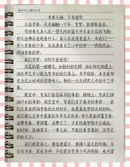 青年奋斗主题文章_时评写作技巧_我的中国梦时事热点