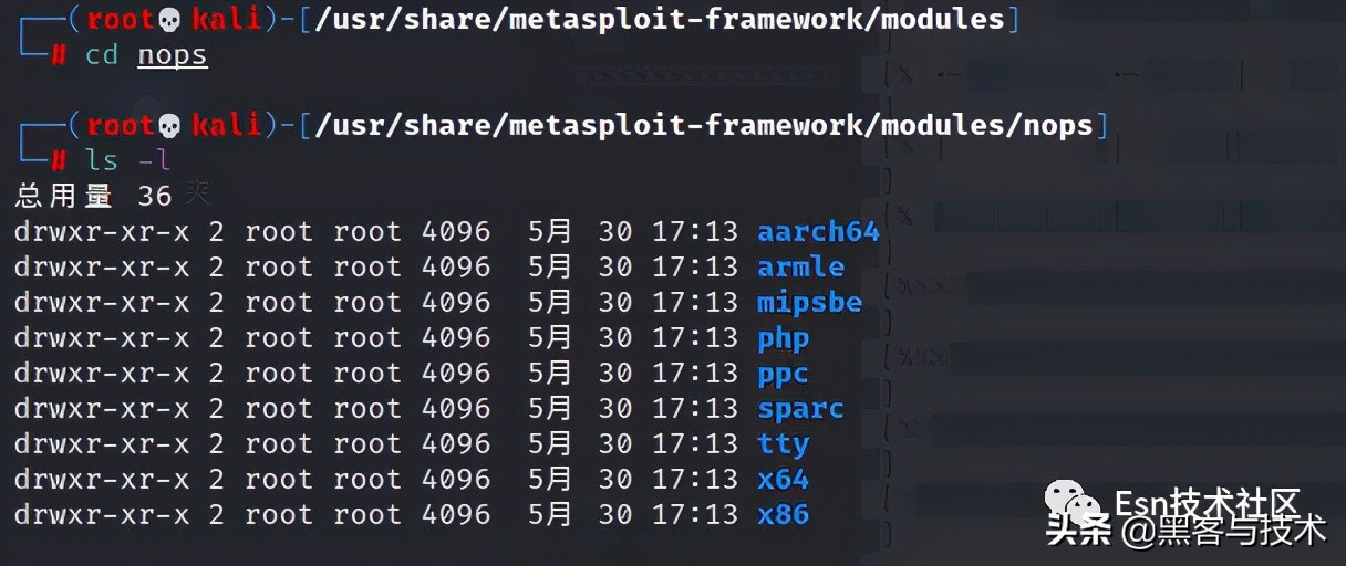 Metasploit 内部架构详解_Metasploit 模块类型学习_php入门教程pdf