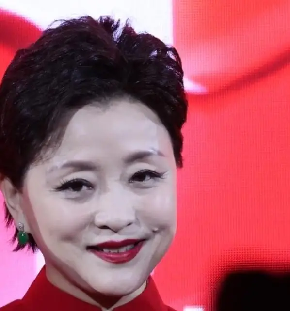 杨澜 央视美女主持人 90年代最美女主持人_欧阳夏丹还在央视吗