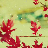 电脑输入小于号大于号_电脑上怎么输入大于号_手机输入小于号大于号