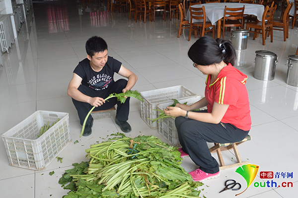 国家审计署青年干部调研纪实：根在基层 不能忘本
