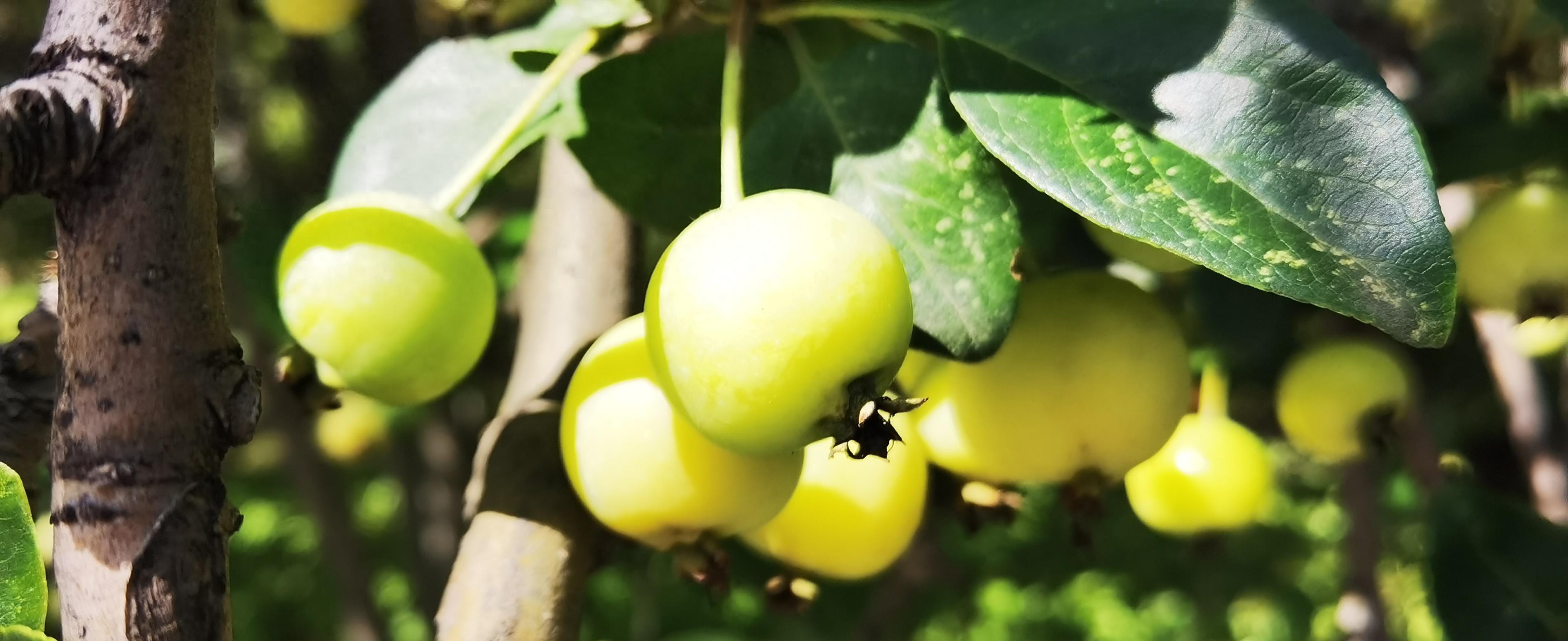 别再盲目重播爆款！看透结构，让写稿速度像开挂般提升