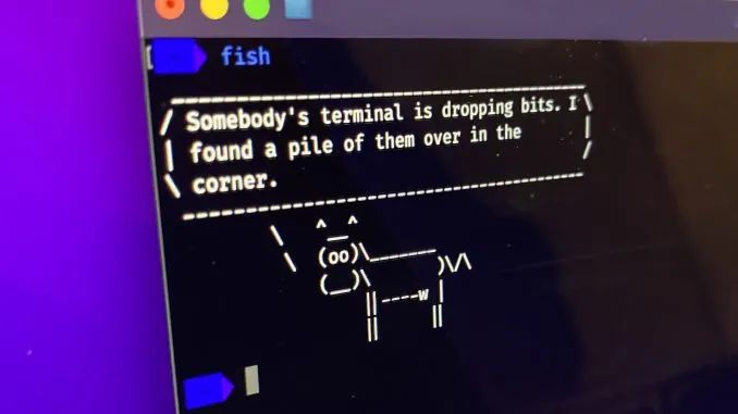 计算机科学成热门选择，就业机会增多，留学就业风向转变？