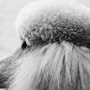 网上买的电脑屏幕收到是坏的_网购电脑屏幕损坏赔偿_网购退货退款赔偿要求