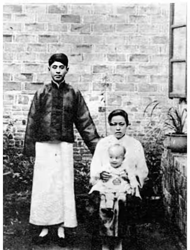 杨振宁母亲教育_杨振宁和杨武之_杨振宁家书