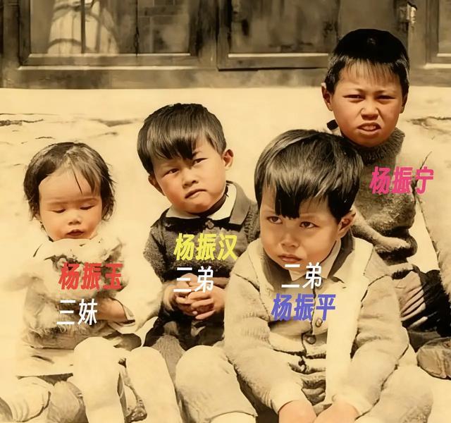 四岁孩子管教父亲故事_杨振宁和杨武之_杨振宁家庭教育