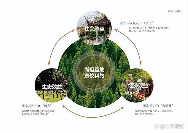 双碳战略引领绿色金融：泰康资产如何优化组织体系，推动可持续发展？