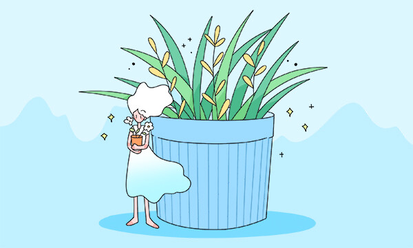 2024年人力资源管理职称新规及国内外近期重大新闻汇总