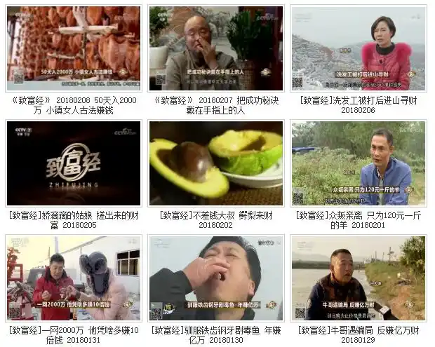 致富经为啥吸引人？当家主持刘栋栋分享农业频道的心路历程