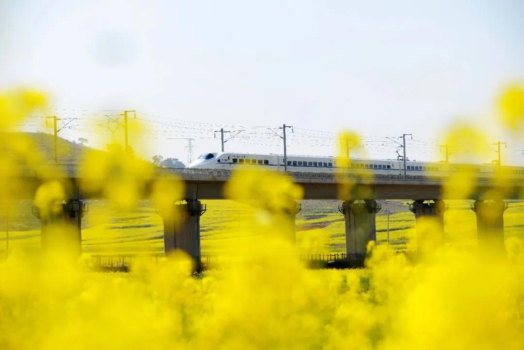 两弹一星 陈达_863计划 中国科技发展 厚积薄发