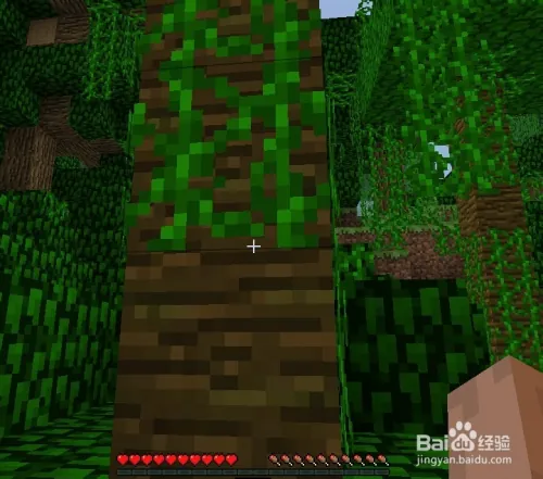 浩方我的世界新手教程