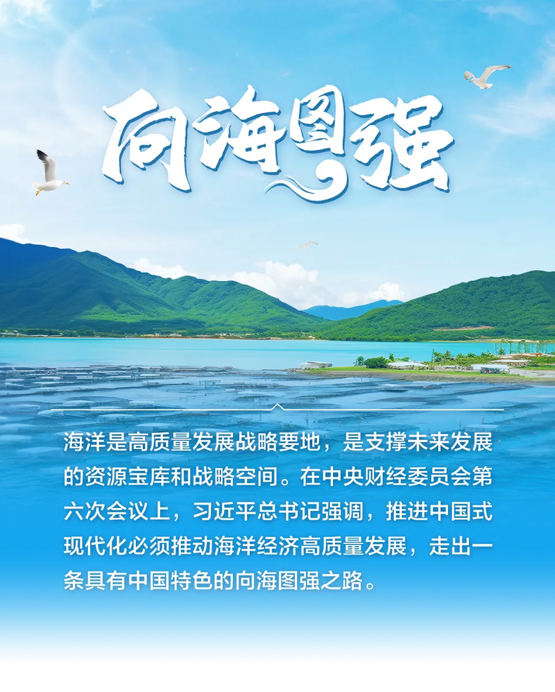 金融创新助力广东海洋养殖,贷款增26%