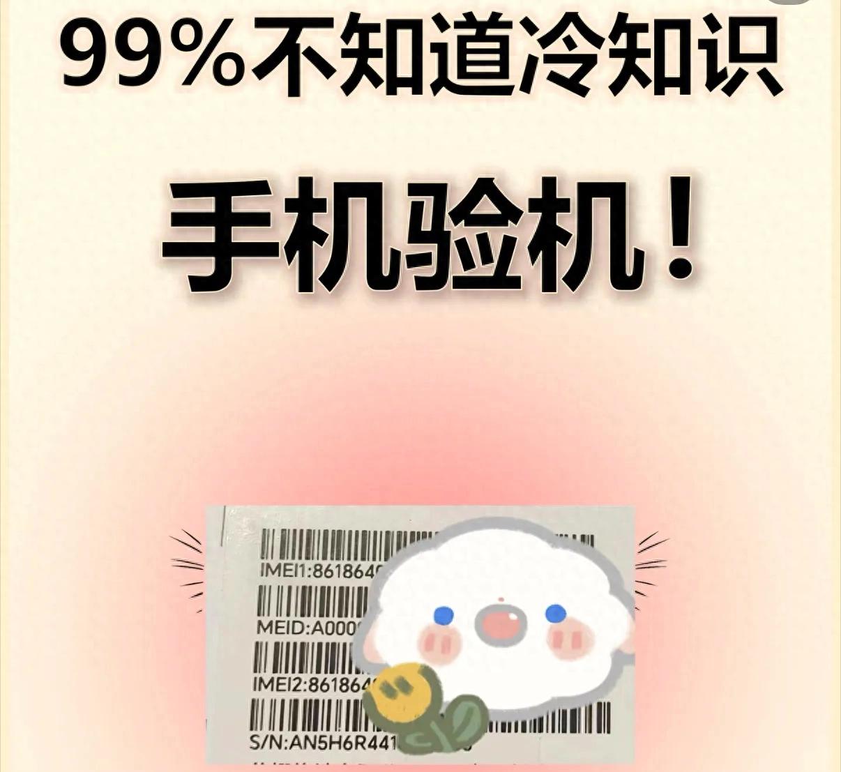 无论您购买新手机还是二手手机，学会检查手机并轻松避免翻新手机。