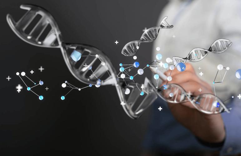 再生医学 贤石生物 浙江大学_新产业医学