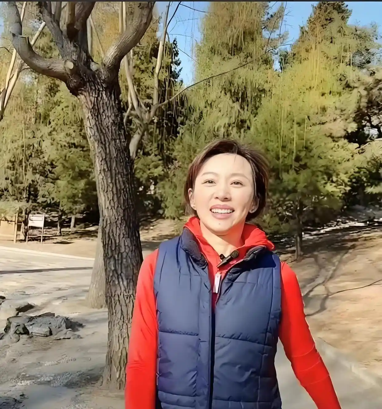 欧阳夏丹 央视离职原因_欧阳夏丹 单身生活选择_央视女主持人欧阳夏丹