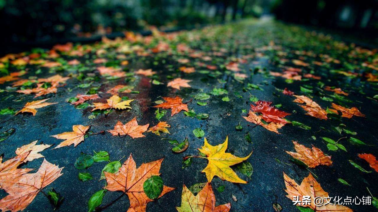 史上最悲伤的秋雨，淅淅沥沥的雨落在李渔的话语上，成了永恒的声音。