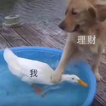 年轻人存折热潮_小红书存折理财_理财平台晴天助