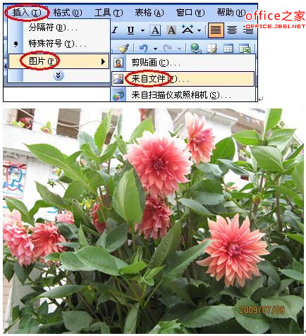 图片上写字很简单，用Word标注功能就能加字