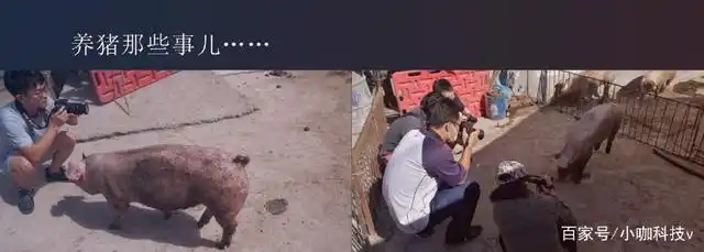 京东金融五周年发展历程_京东金融ceo陈生强生日_京东金融CEO陈生强演讲解读