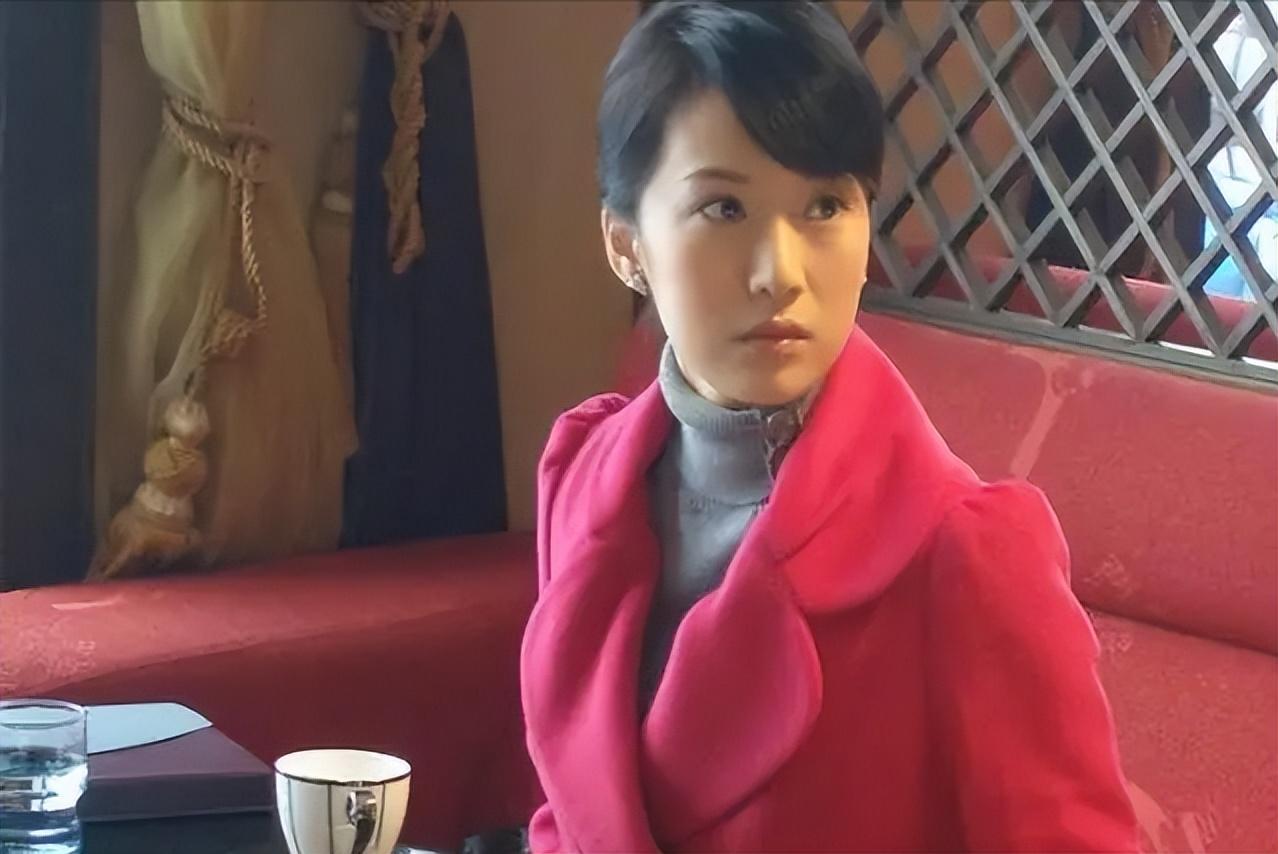 国产经典电视剧推荐_蜗居小说续集_《蜗居》宋思明海藻情感纠葛分析