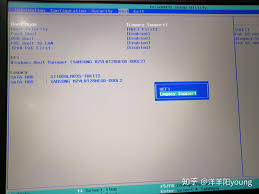 bios设置u盘启动问题_电脑无法从u盘引导启动_u盘启动无法进入